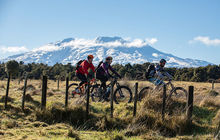 New-zealand39.jpg