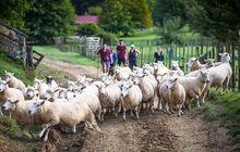 New-zealand40.jpg