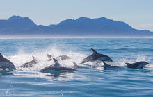 New-zealand45.jpg