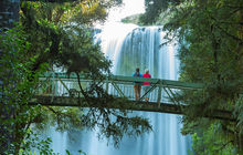 New-zealand46.jpg