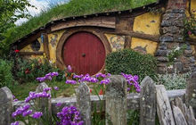 New-zealand66.jpg
