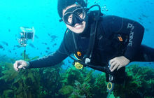 New-zealand73.jpg