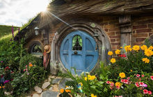 New-zealand89.jpg