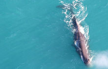 New-zealand94.jpg