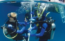 Poseidon_Diving_0.jpg