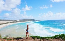 dingosfraserisland_75412688_563866951037428_6351323859478949563_n.jpg