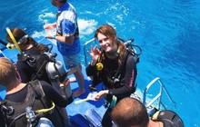 prodivecairns_59776563_479461376144661_1388269004402635377_n.jpg
