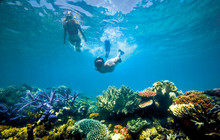 Great-barrier-reef_0.jpg