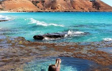 westernaustralia_62211265_142377363513726_3107688897356214905_n.jpg