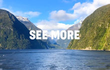 seemore.jpg