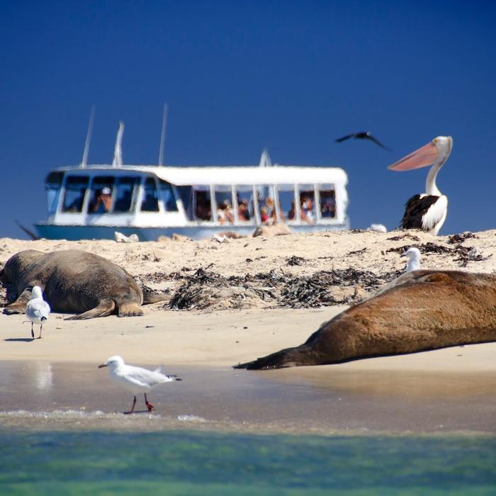 Margaret River Tour
