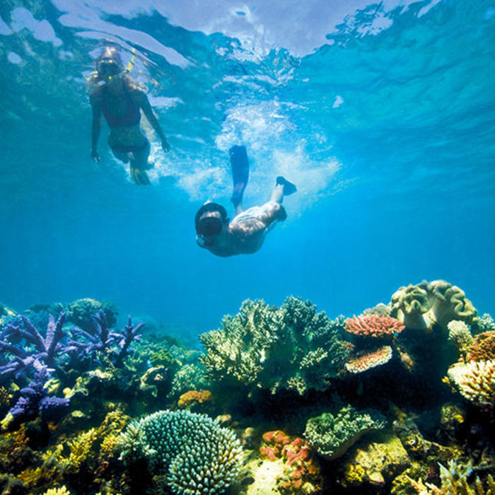 Great-barrier-reef.jpg
