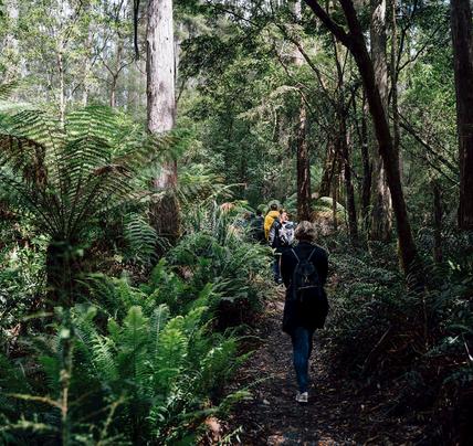 2 Day Best of Tasmania Tour