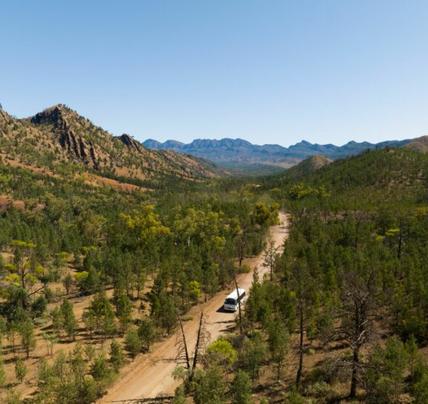 6 Day Eyre Peninsula & Flinders Ranges Adventure Tour