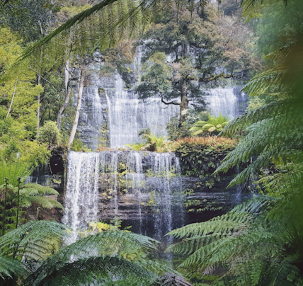 6 Day Tasmania in Comfort