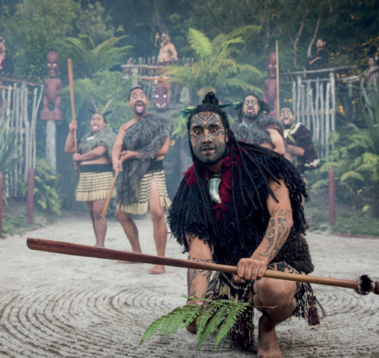 14 Days North NZ Experience