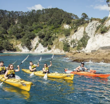 19 Days Auckland to Christchurch Experience