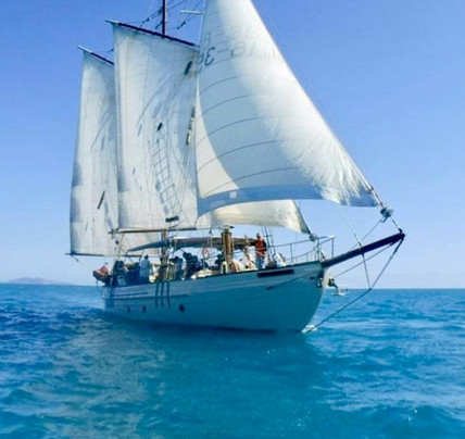Afternoon Whitsunday Sail - Derwent Hunter